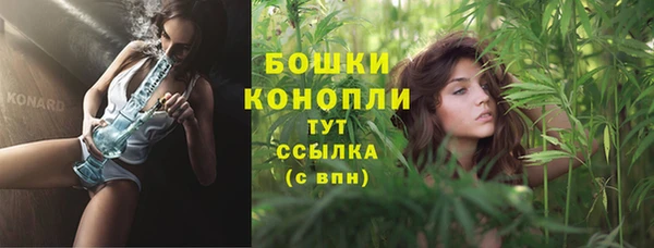 соль ск Медногорск