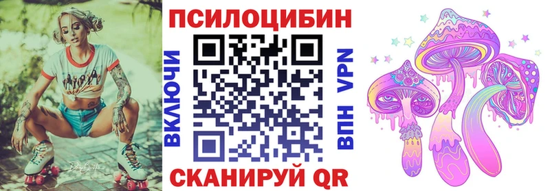 Купить  Подольск  Галлюциногенные грибы GOLDEN TEACHER 